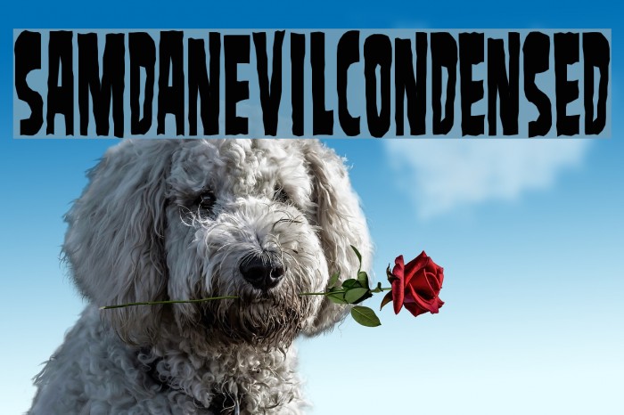 SamdanEvilCondensed Font examples