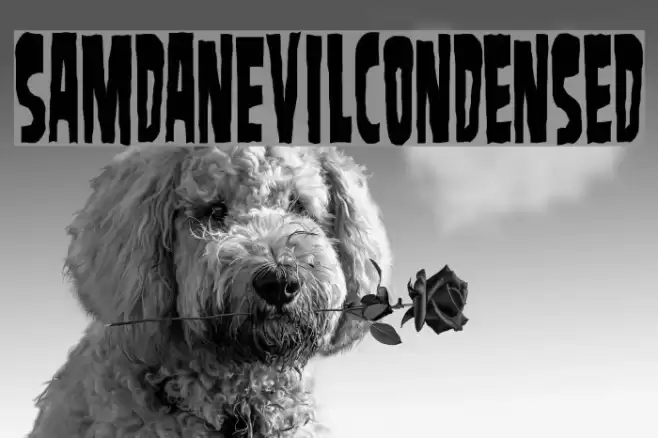 SamdanEvilCondensed Шрифта examples