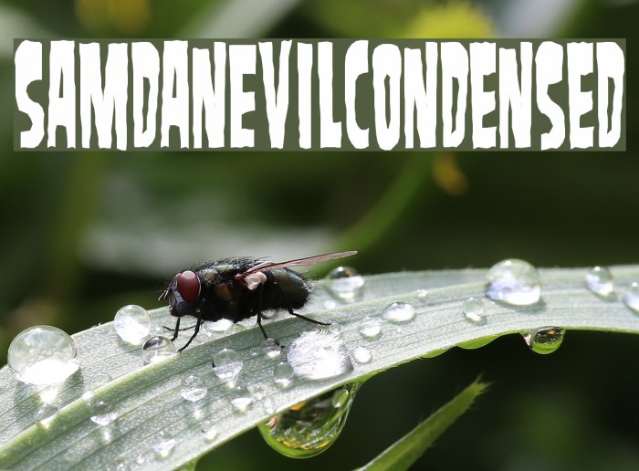 SamdanEvilCondensed Font examples