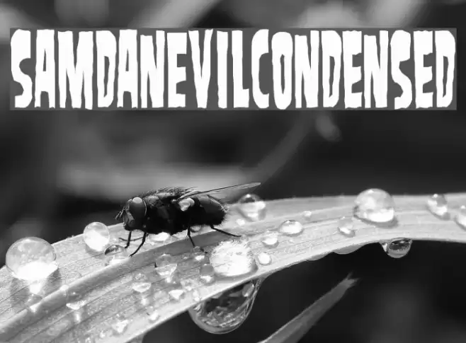 SamdanEvilCondensed Шрифта examples