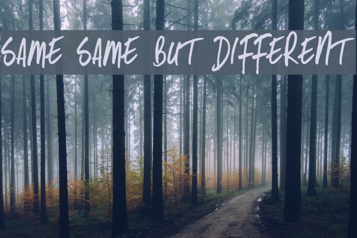 Same Same But Different Font examples