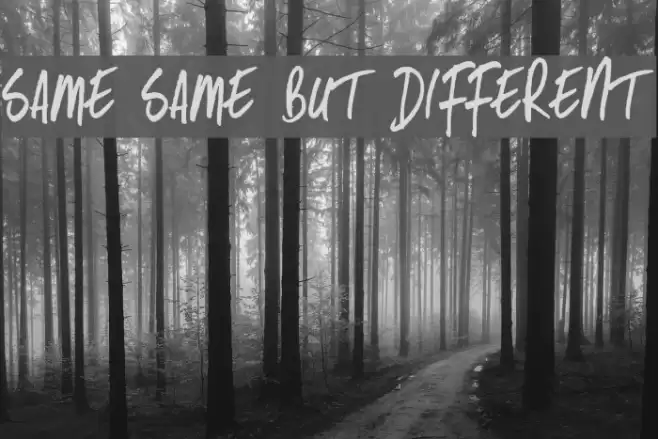 Same Same But Different Font examples