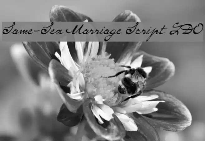 Same-Sex Marriage Script LDO Font examples