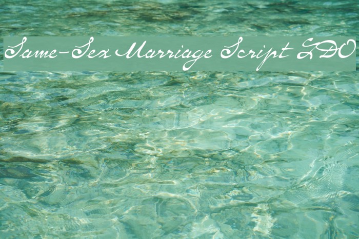 Same-Sex Marriage Script LDO Example 3