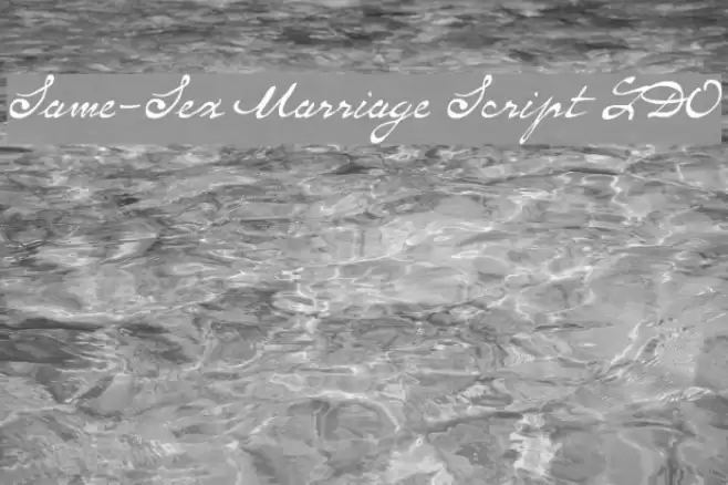 Same-Sex Marriage Script LDO Font examples