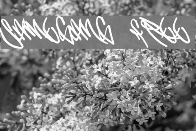 SameGang_Free Font examples