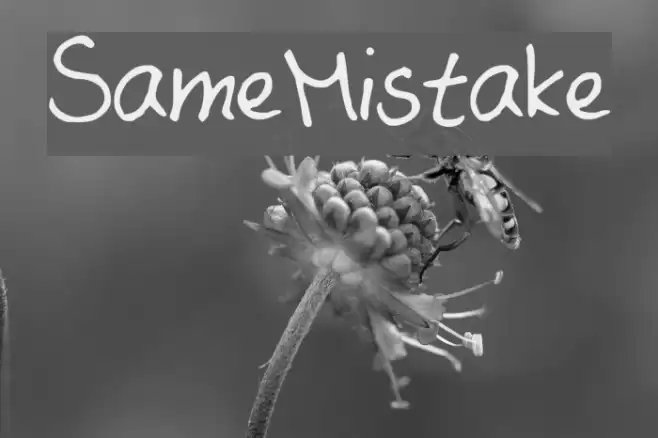 Same_Mistake Font examples