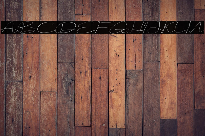 Sameday Signature Example 1