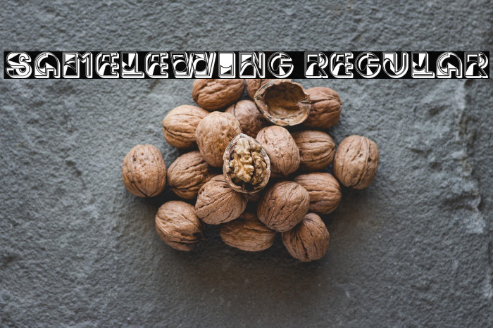 Samelewing Regular Example 2