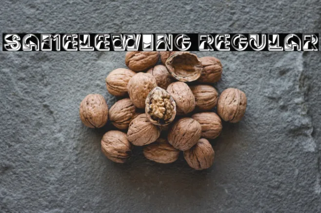 Samelewing Regular Example 2
