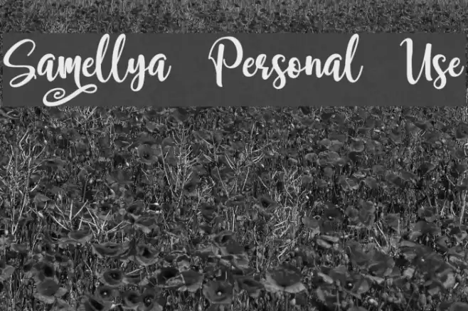 Samellya Personal Use Font examples
