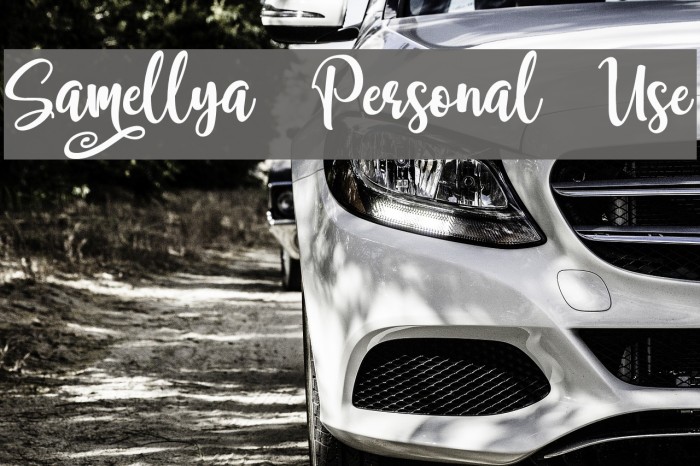 Samellya Personal Use Example 3