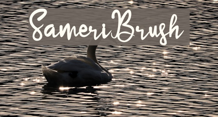 SameriBrush Example 3