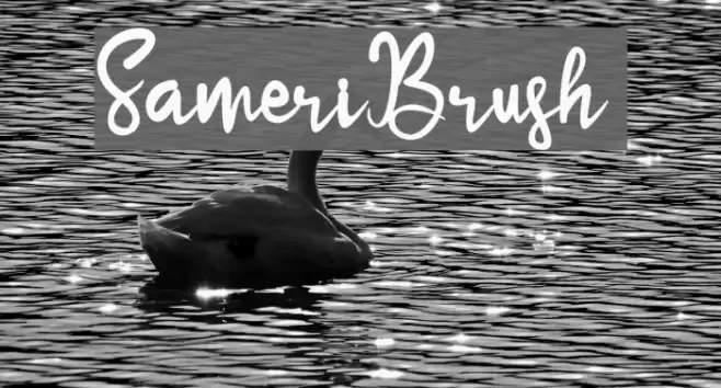 SameriBrush Font examples