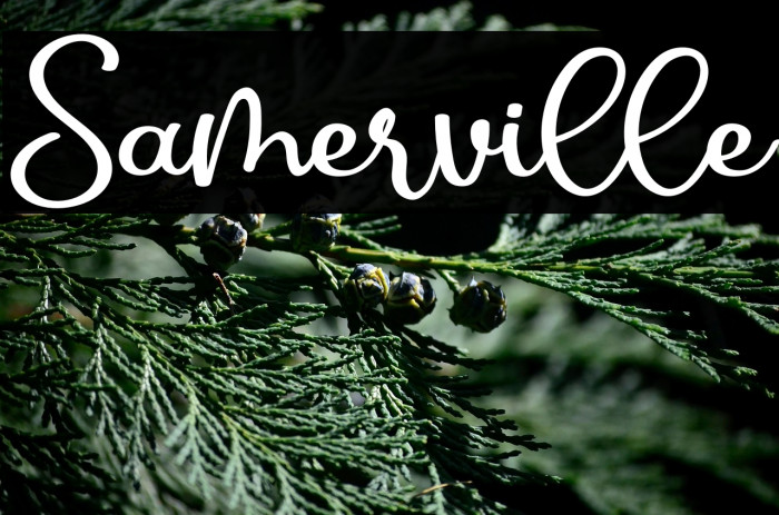 Samerville Example 1