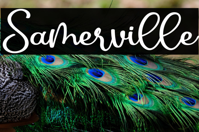 Samerville Example 2