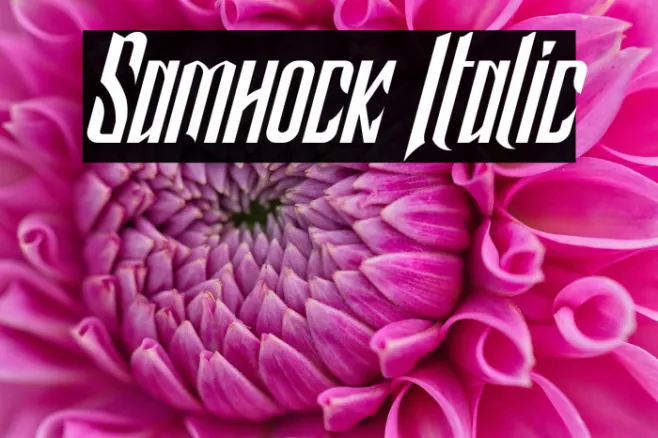 Samhock Italic Example 2