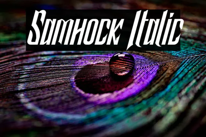 Samhock Italic Example 3