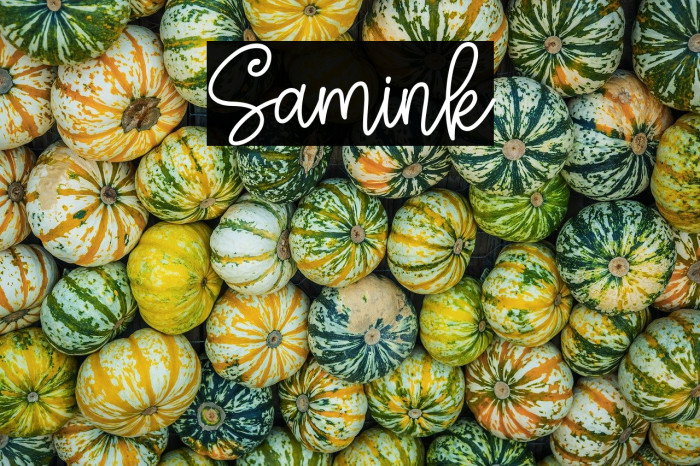 Samink Example 1