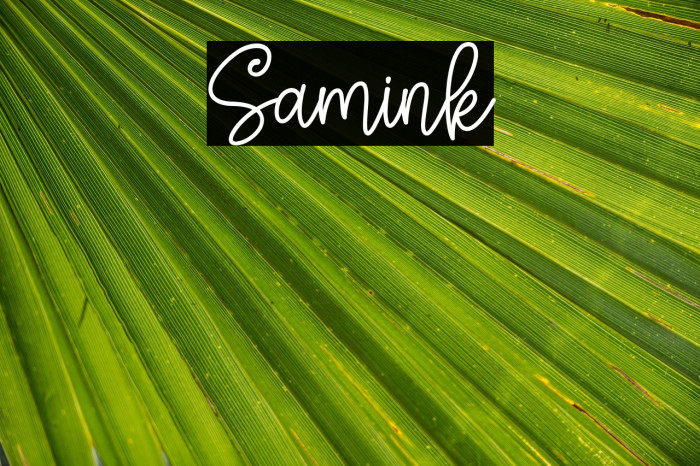 Samink Example 2