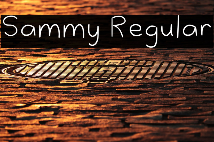 Sammy Regular Schriftart examples