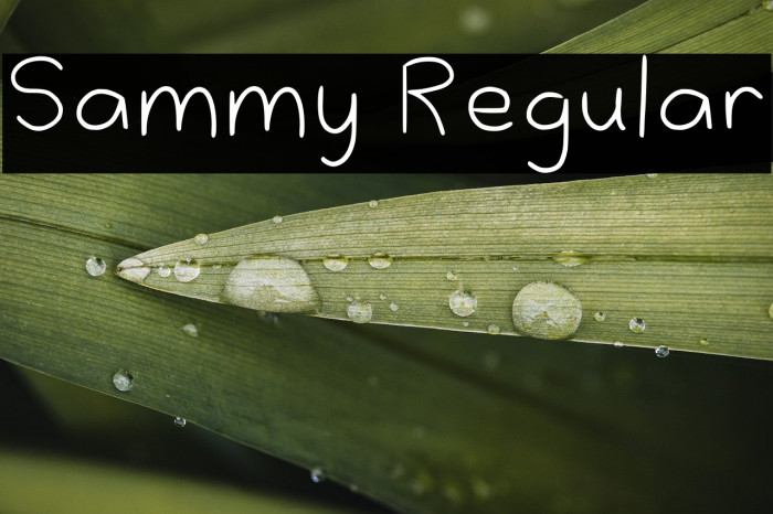 Sammy Regular Schriftart examples