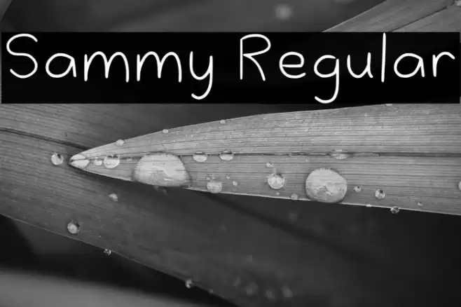 Sammy Regular फ़ॉन्ट examples