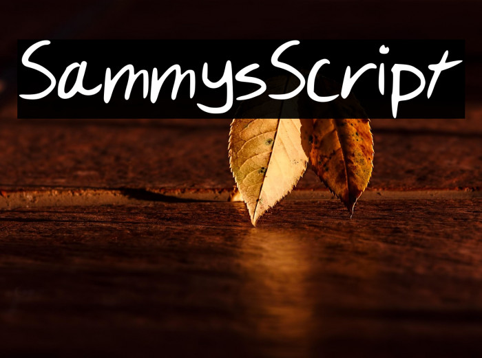 SammysScript Example 1