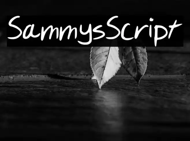 SammysScript Font examples