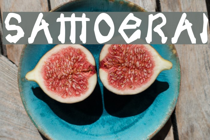 Samoerai Font examples