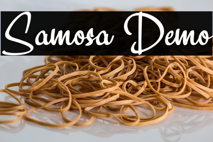 Samosa Demo Example 1