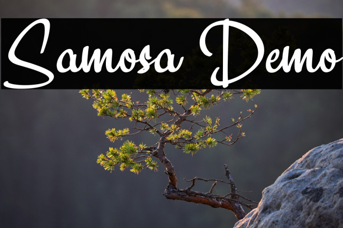 Samosa Demo Example 2