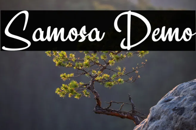 Samosa Demo Example 2
