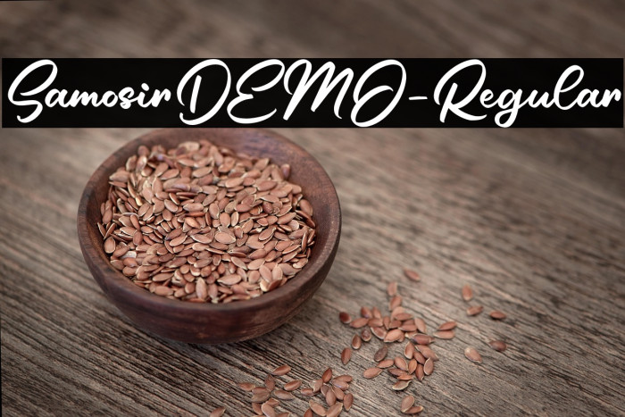 SamosirDEMO-Regular Example 3