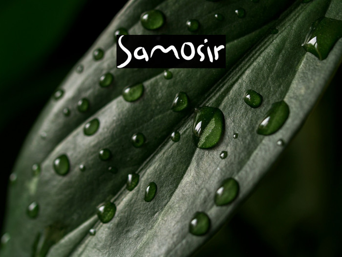 Samosir Example 2
