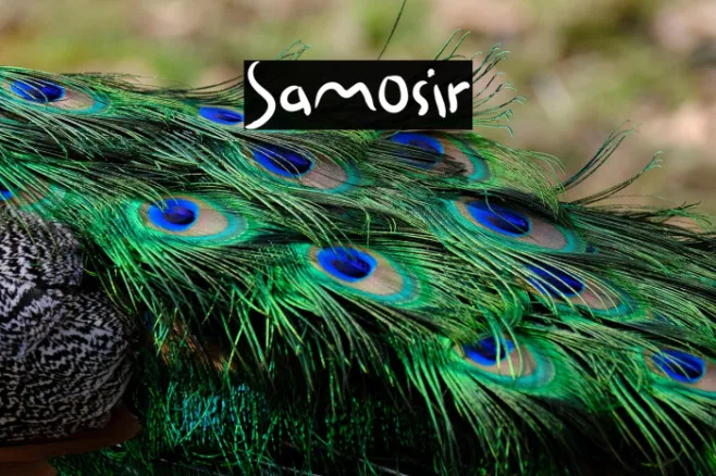 Samosir Example 3