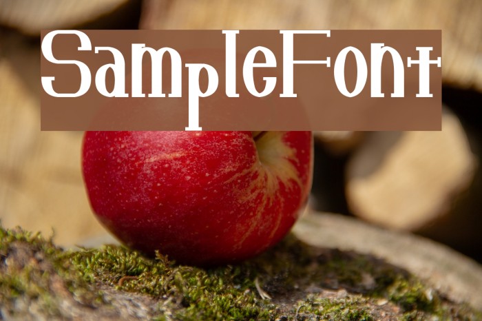 SampleFont Example 1
