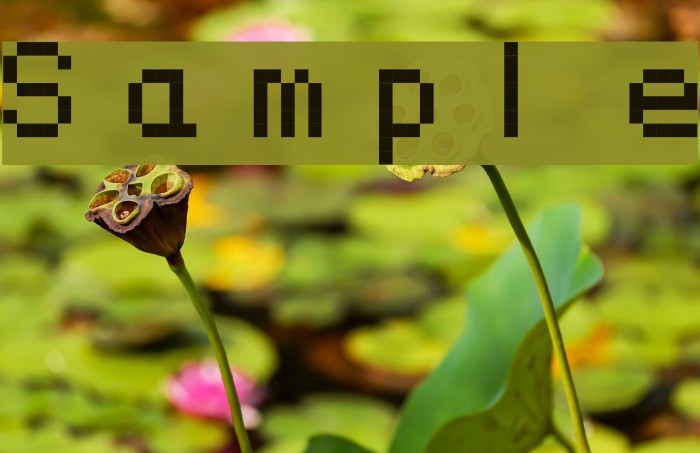 Sample Font examples