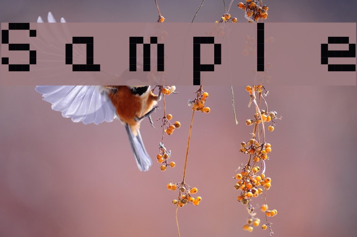 Sample Font examples