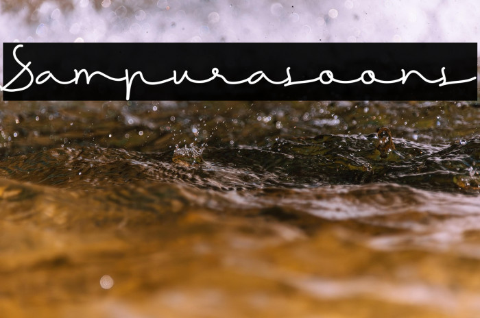 Sampurasoons Example 3