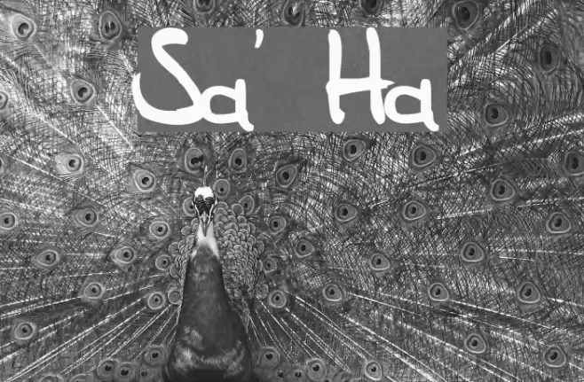 Sam's Handwriting फ़ॉन्ट examples