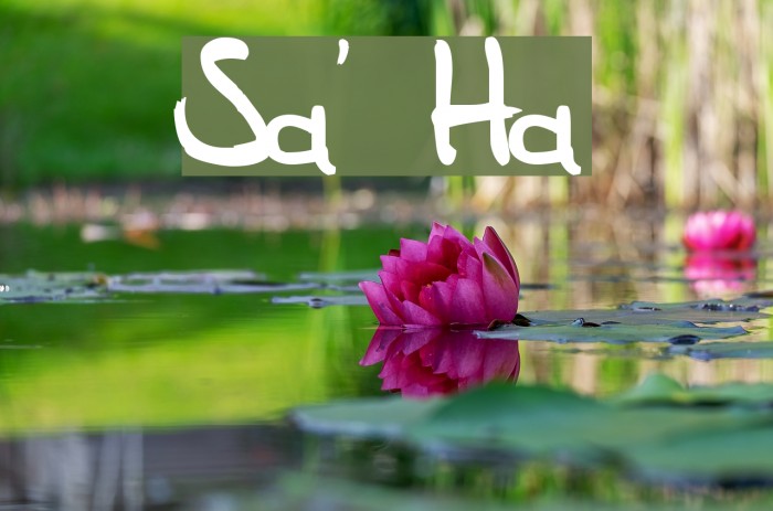 Sam's Handwriting Font examples