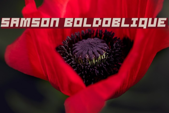 Samson BoldOblique Example 2
