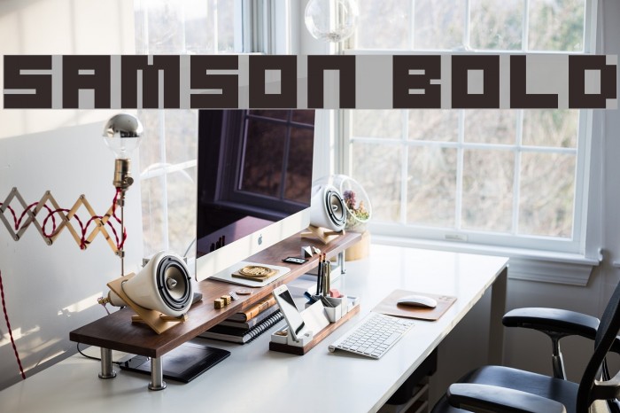 Samson Bold Example 1