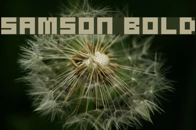 Samson Bold Example 2