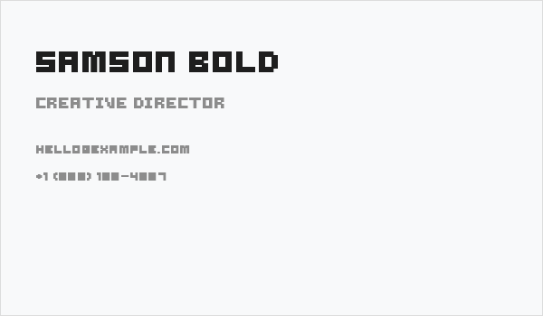 Samson Bold Business Card