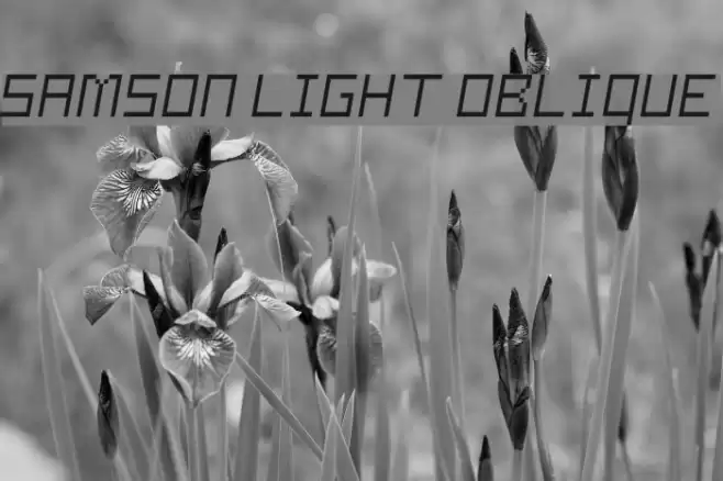 Samson Light Oblique Font examples