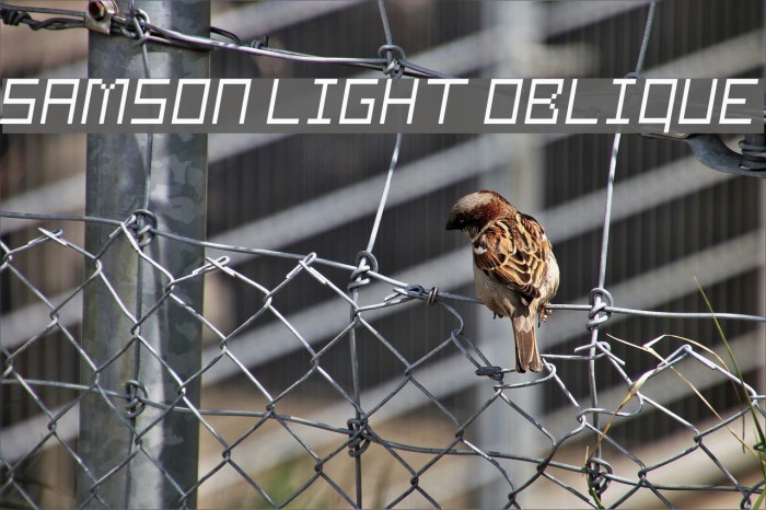 Samson Light Oblique Font examples