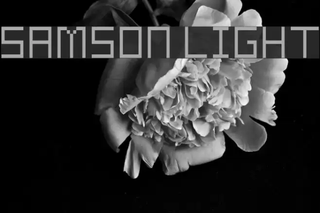 Samson Light Font examples