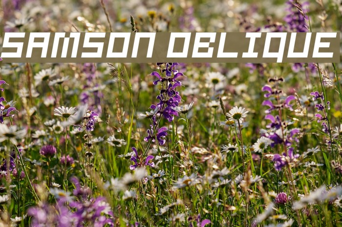 Samson Oblique Example 1